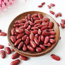 Pulses 2021 Crop British Red Kidney Bean